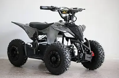 باجي شحن كهربائي ATV للأطفال 1000 واط بطارية 36 فولت